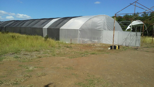 Rancho Parcelas