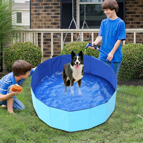 Piscina Para Perros Piscina Plegable Para Perros Piscina Por