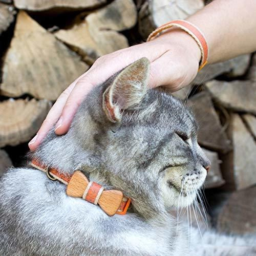 Imagen 3 de 6 de Pettsie Breakaway Gato Collar Bowtie And Friendship Bracel