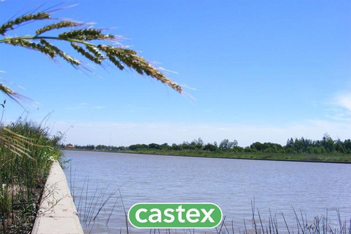 Imagen 5 de 14 de Lote En Venta Al Río En San Juan, Villanueva, Tigre