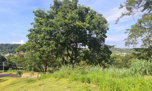 Imagem 8 de 12 de Terreno No Aldeia Do Vale - 2064
