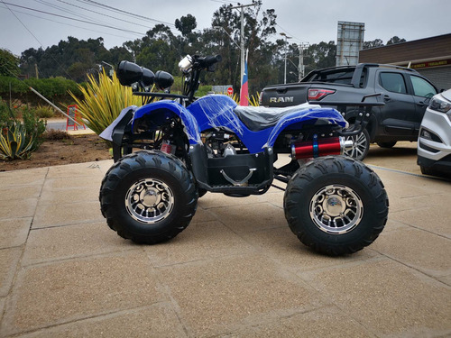 Imagen 11 de 20 de Orion Hummer 125cc