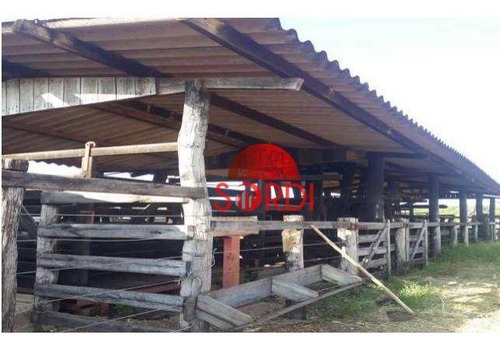 Imagem 13 de 19 de Fazenda À Venda, 2147750 M² Por R$ 14.500.000,00 - Zona Rural - Cajuru/sp - Fa0124
