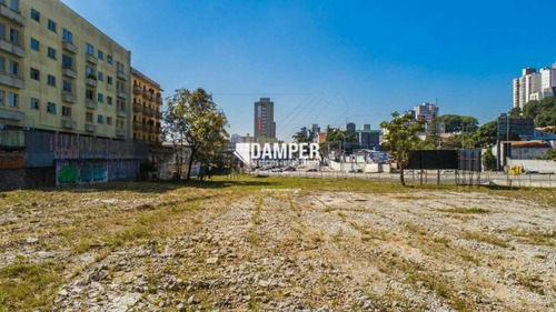 Imagem 2 de 15 de Terreno Para Alugar No Bairro Centro - São Bernardo Do Campo/sp - 361