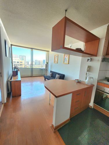 Arriendo Bellas Artes Con Ggcc Incluidos (79580)