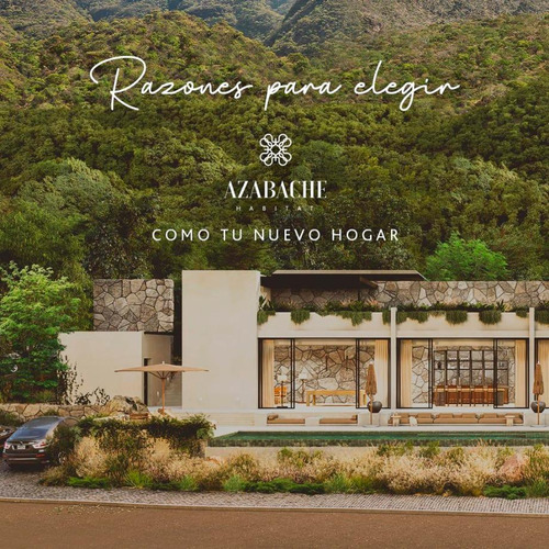 Lote Azabache 30
