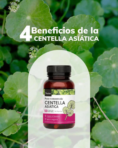 Suplemento Centella Asiática Natier Pura Y Concentrada