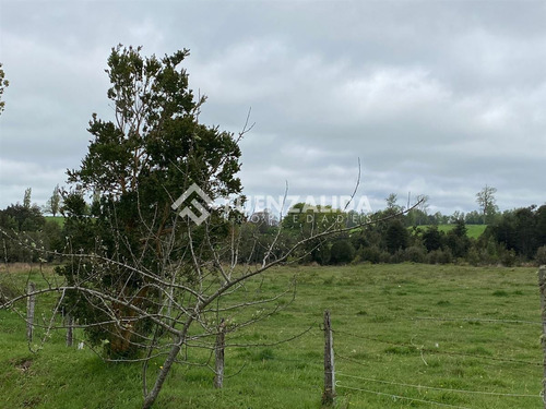 Venta Parcela De 1,24 Hectáreas En Loncotoro