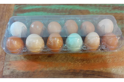 Envase Para 12 Huevos De Gallina 50 Unidades