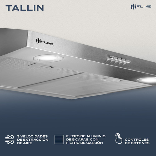 Campana Extractora Slim Acero Inox 60cm Bajo Gabiente Ta60 Color Gris