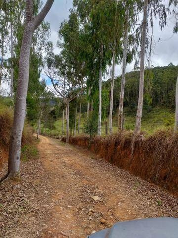 Fazenda À Venda, 1936000 M² Por R$ 7.000.000,00 - Paiol Grande - Redenção Da Serra/sp - Fa0016