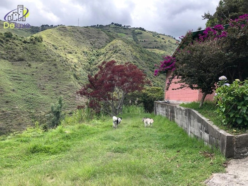 Imagen 8 de 12 de Finca En Venta Mérida. El Pedregal, Tabay