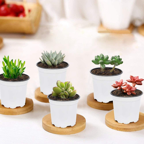 Macetas De Inicio Con Plántulas De Flores Para Pequeñas Mace