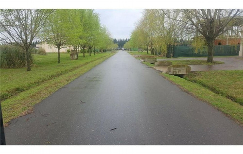 Imagen 12 de 13 de Lote Interno En Haras Del Sur 2