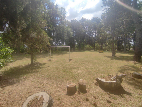 Imagen 14 de 30 de Hermosa Quinta Con Mucha Arboleda Añeja