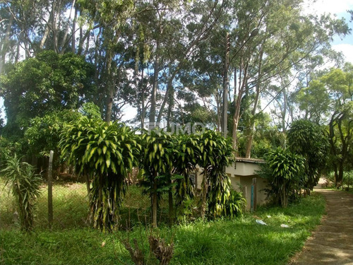 Área À Venda Em Vila Ipê - Ar005228