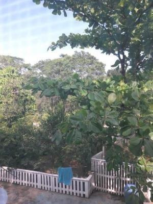 Imagem 5 de 10 de Chácara Com Belo Quintal Em Itanhaém