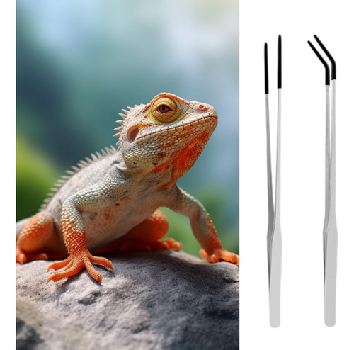 2 Pieces Aquarium Tweezers Reptile Feeding Black Argent