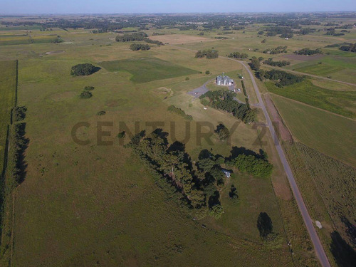 Venta Casa En Campo De 5 Hectáreas En Las Flores Apto Para Explotación Ganadera Y Agrícola