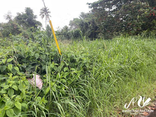 Terreno De 22,000 Metros En Puerto Plata