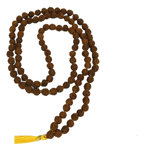 Gavya International Rudraksh Mala Himalaya Rudraksha Semilla