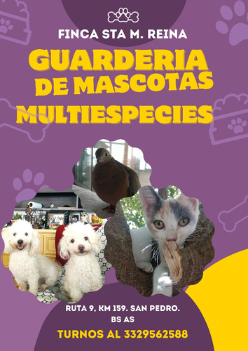 Guardería De Mascotas Multi Especies Finca Sta María Reina 