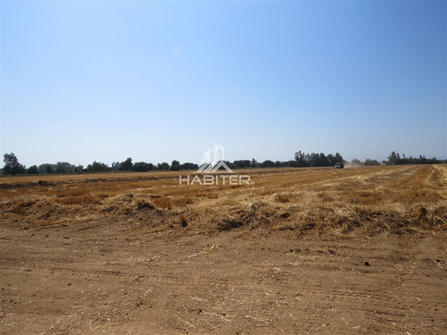 Parcela En Venta En San Clemente