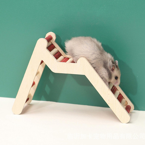 Puente Para Hámster, Escalera Para Escalera En Forma De M