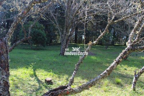 Imagem 26 de 30 de Chácara Rural À Venda, Areia Branca, Mandirituba. - Ch0004