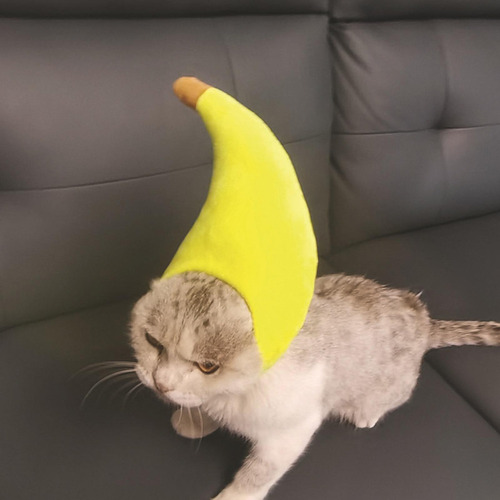 Lindo Disfraz De Gato Plátano Sombrero Divertido