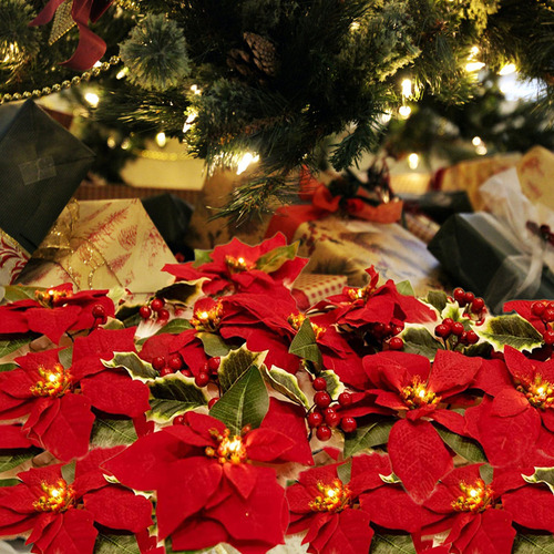 Guirnalda De Luces De Nochebuena Con Flores Navideñas