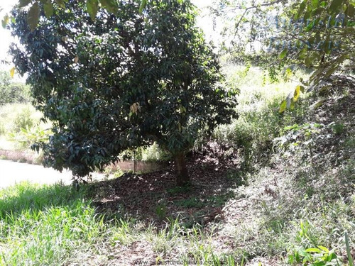 Imagem 27 de 29 de Chácaras À Venda Em Atibaia/sp - Compre O Seu Chácaras Aqui! - 1473857