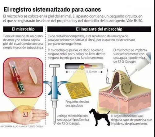 Imagen 5 de 7 de Chip Microchip Para Mascotas - Animales Pequeños- 7mm