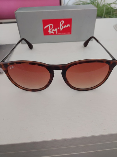 Anteojos De Sol Polarizados Ray-ban Erika Classic Standard 