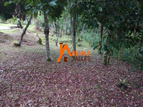 Imagem 19 de 30 de Chacara - Ch00125 - 70927858