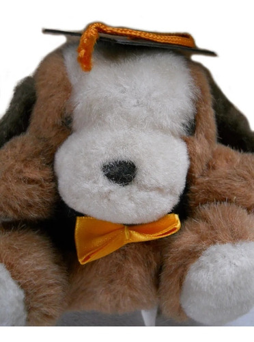 Peluche Egresado Perro Con Birrete Tamaño Chico (Usado)