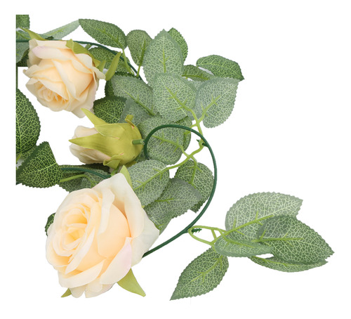 Guirnalda De Rosas De Champán, Enredaderas, Naturalmente Rom