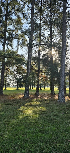 Lotes Al Golf Entre Rios