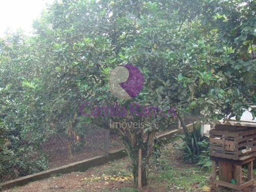 Imagem 7 de 16 de Chácara Residencial À Venda, Jardim Campestre, Suzano. - Ch0026 - 68322234