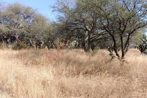 Lote 13 Terreno Campestre En Venta En Aldea Cantalagua, San Miguel De Allende
