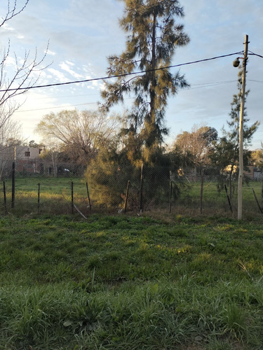 Terreno En Vena En El Rincon