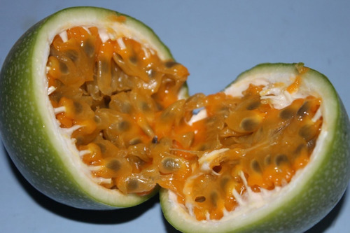 100 Semillas Maracuyá Passiflora Edulis 100% Organicas