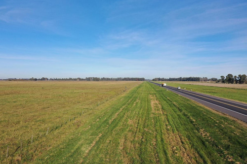 Imagen 5 de 9 de Campo De 77 Has En Venta En Uribelarrea, Cañuelas