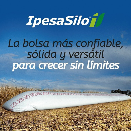 Ipesasilo Bolsa