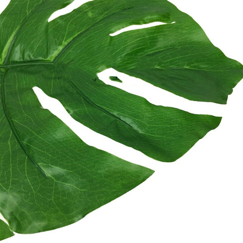 Trompeta, Simulación Oscura, Hoja De Tortuga, Hoja De Giraso
