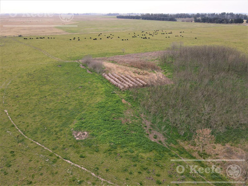 Imagen 1 de 29 de Campo Mixto De 170 Has En San Vicente. Oportunidad!