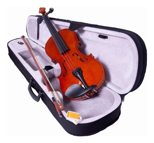 Profesional Violin 4/4 Con Estuche Brea Arco Acustico Adulto