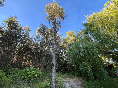 Parcela De 2,5 Hectáreas En Venta, Comuna De Río Claro