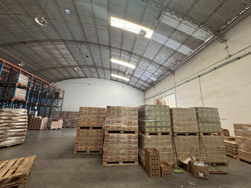 Venta Galpon Con Oficinas/local Cipolletti