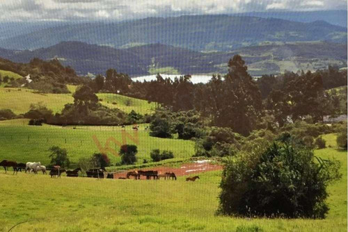 Venta Finca En La Vereda Tierra Negra Sesquilé Cundinamarca-9686